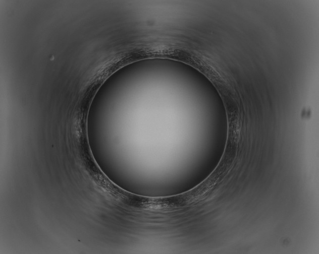 X0000091170746200708231505