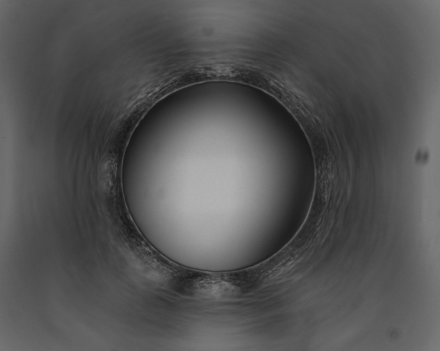 X0000091170747200708231505