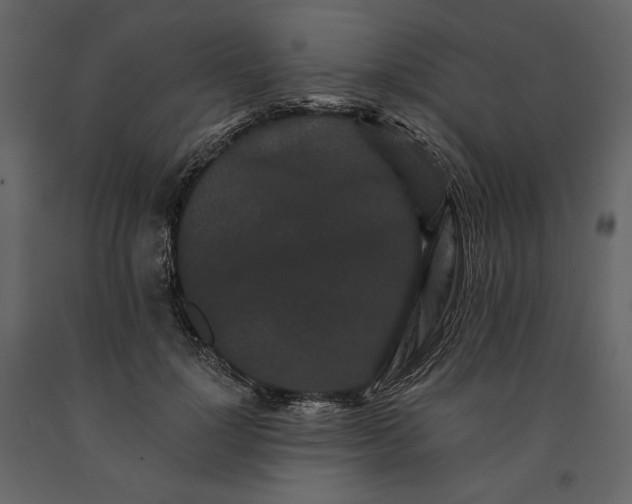 X0000091170748200708231505