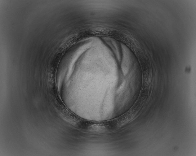 X0000091170749200708231505