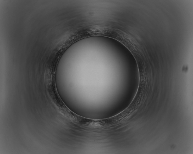 X0000091170751200708231505