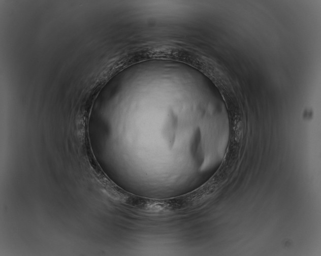 X0000091170753200708231505