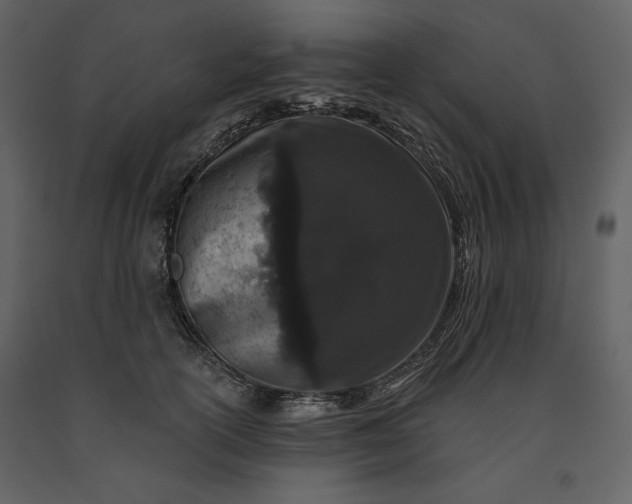 X0000091170754200708231505