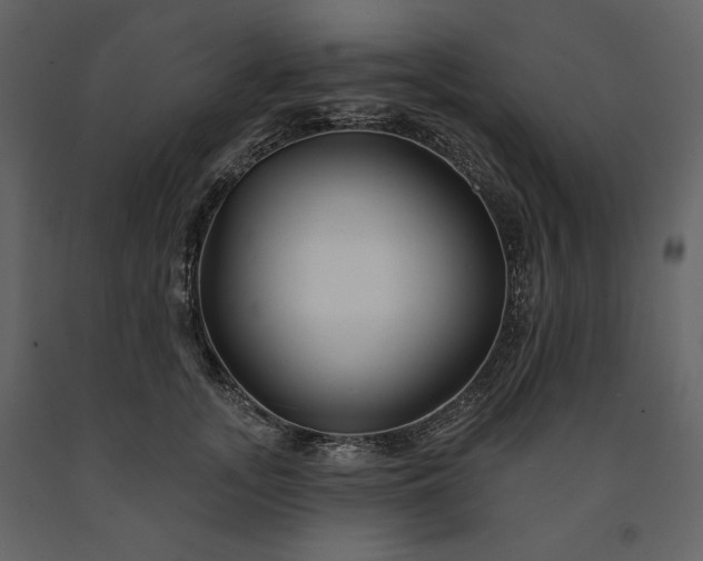 X0000091170755200708231505