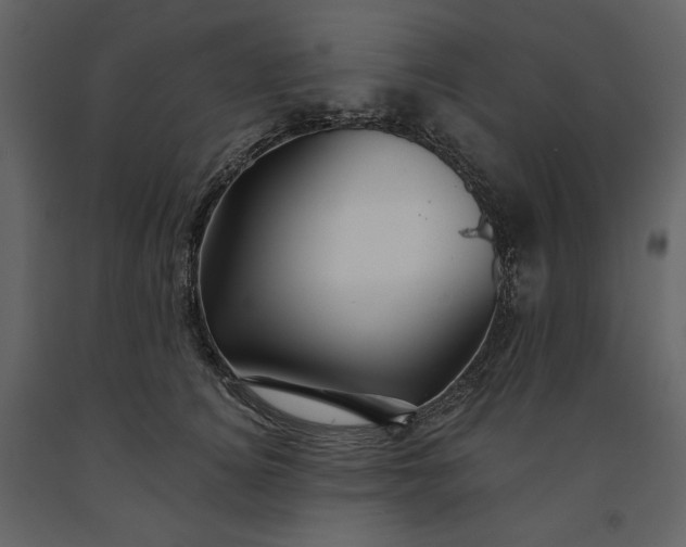 X0000091170756200708231505