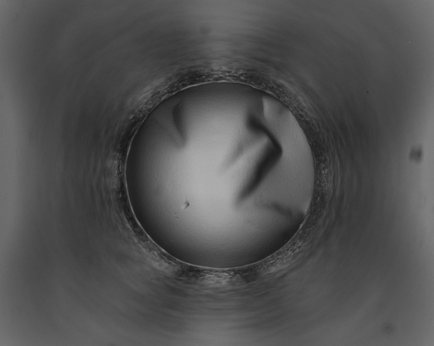 X0000091170757200708231505