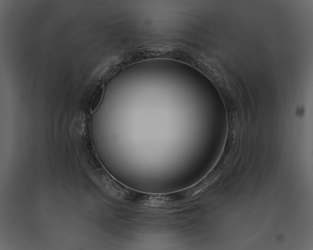 X0000091170758200708231505