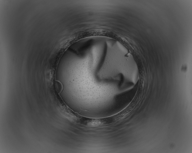 X0000091170759200708231505