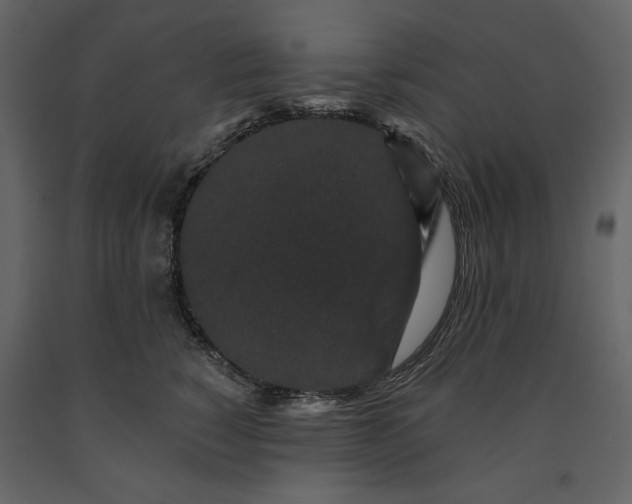 X0000091170760200708231505