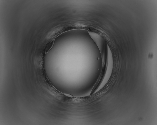 X0000091170762200708231505