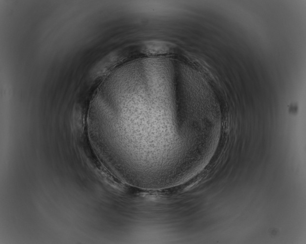 X0000091170763200708231505