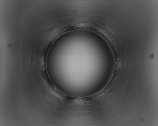 X0000091170764200708231505