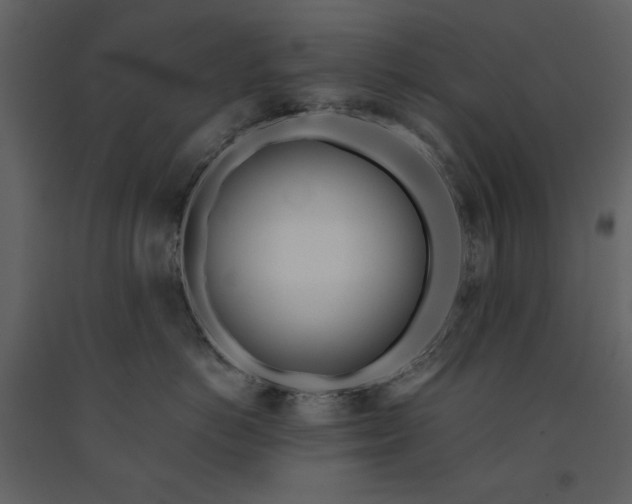 X0000091170766200708231505