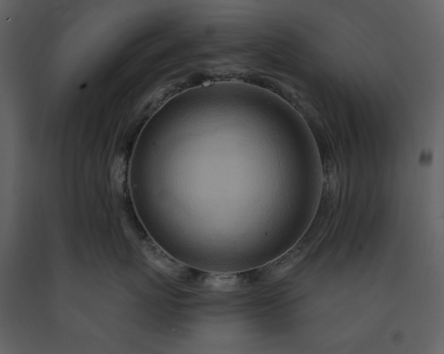 X0000091170767200708231505