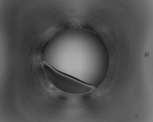 X0000091170768200708231505