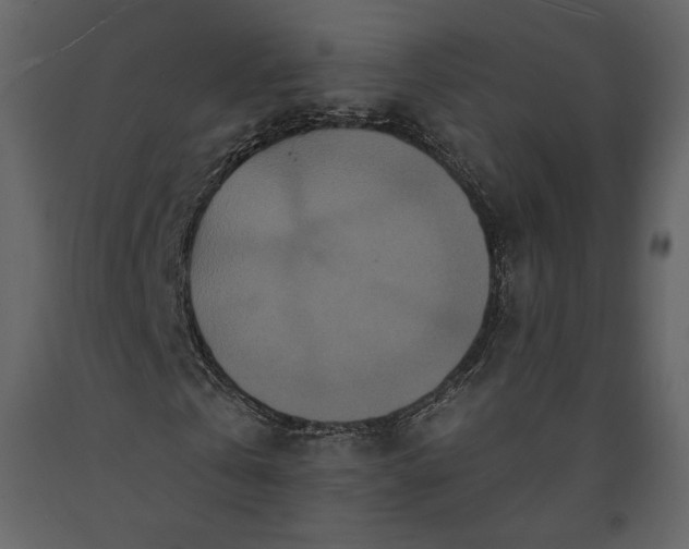 X0000091170769200708231504