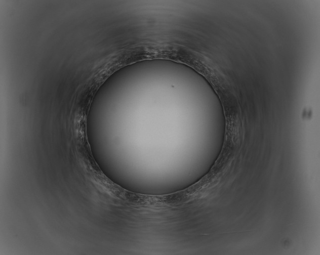 X0000091170770200708231504