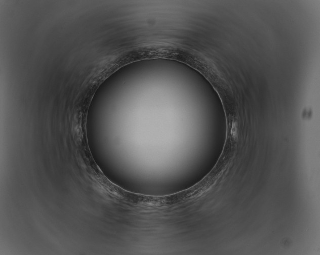 X0000091170771200708231504