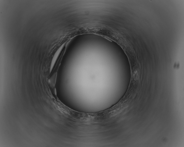 X0000091170772200708231504