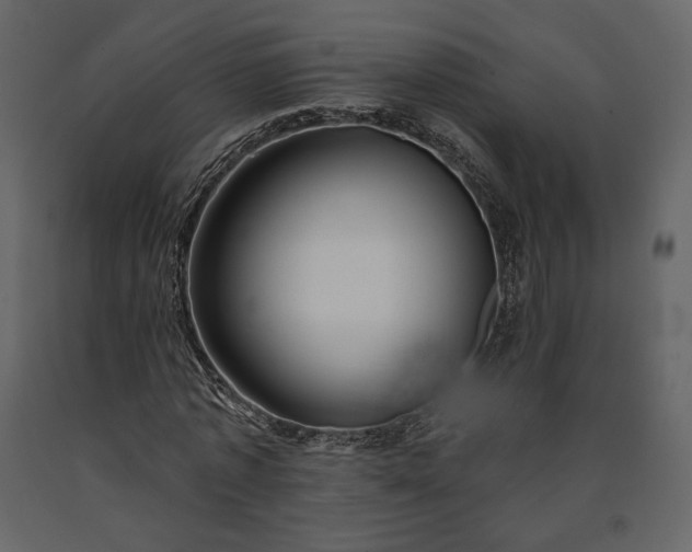 X0000091170773200708231504