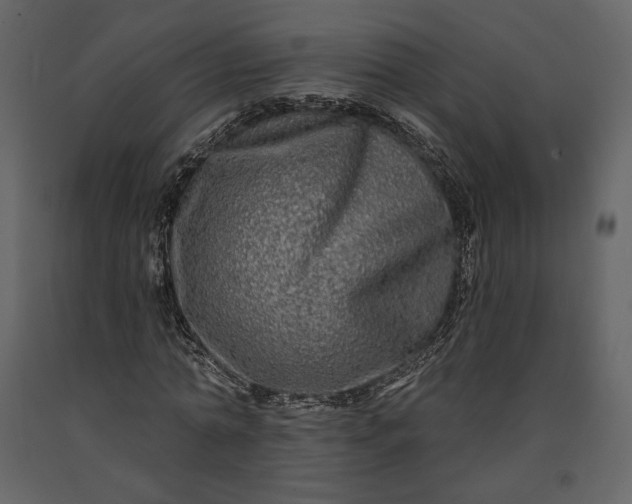 X0000091170774200708231504