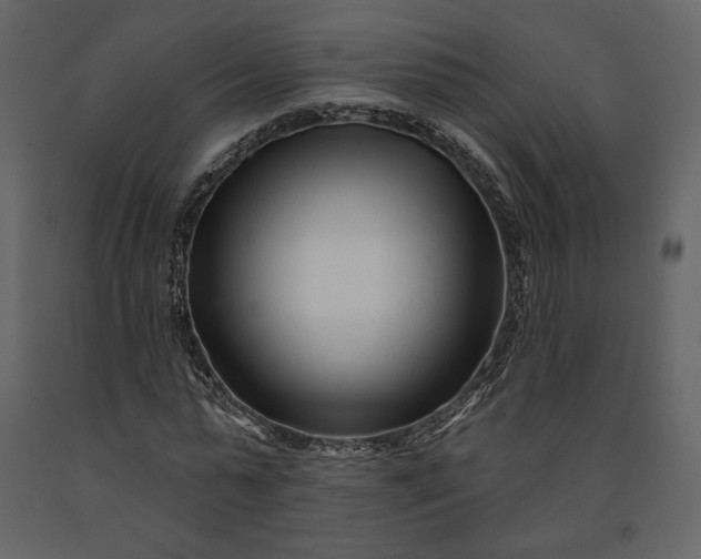 X0000091170775200708231504