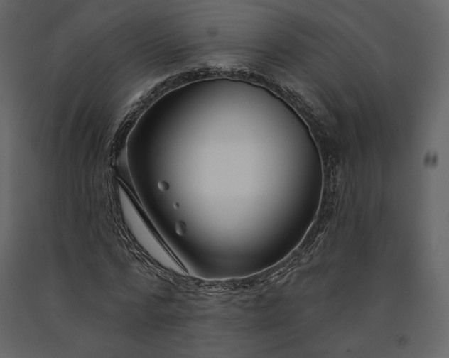 X0000091170776200708231504