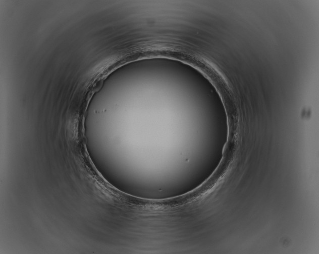 X0000091170777200708231504