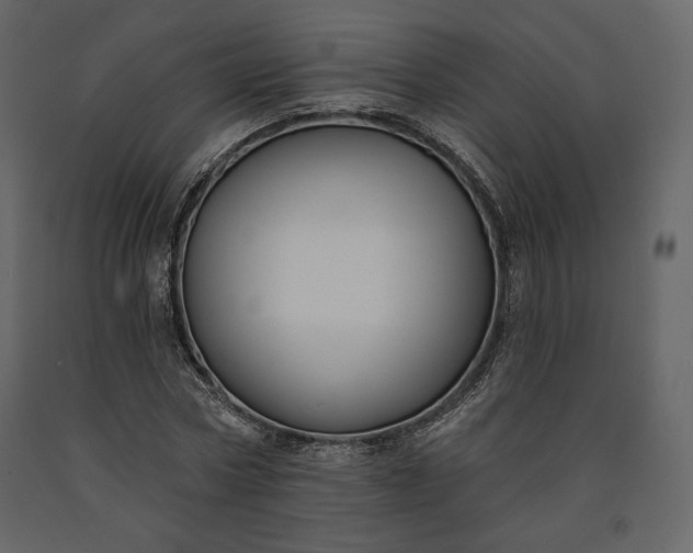 X0000091170778200708231504