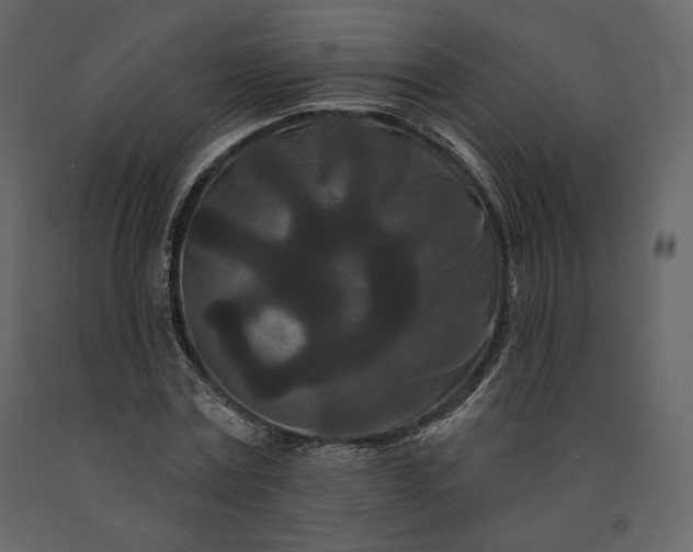 X0000091170779200708231504