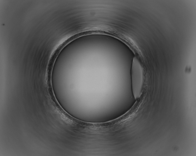 X0000091170780200708231504