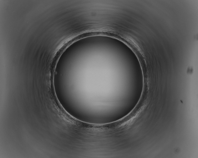 X0000091170781200708231504