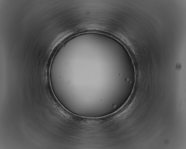 X0000091170782200708231504