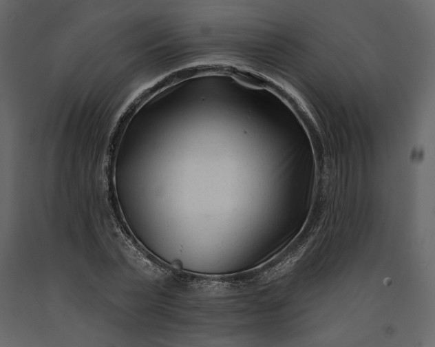 X0000091170783200708231504