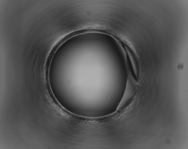 X0000091170784200708231504