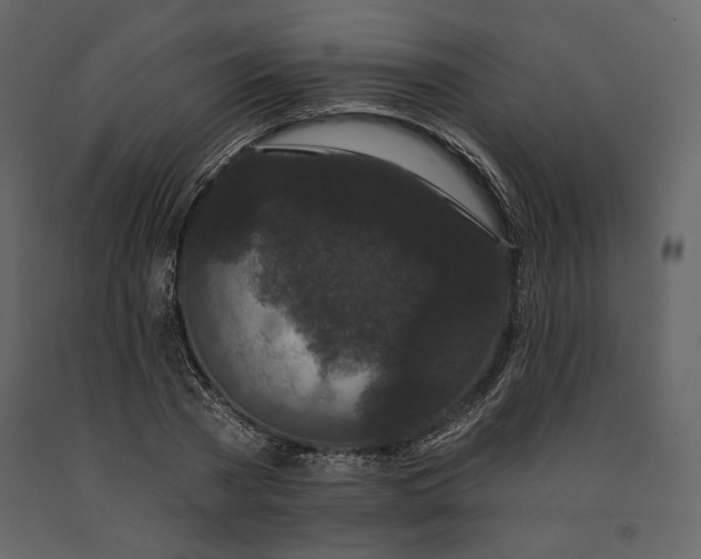 X0000091170785200708231504