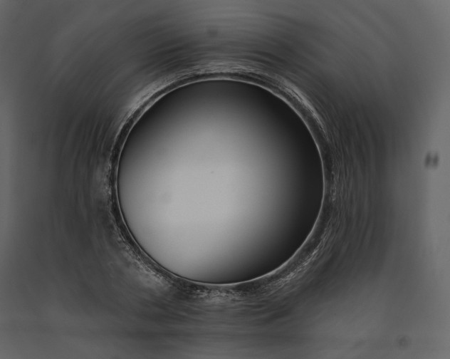 X0000091170786200708231504