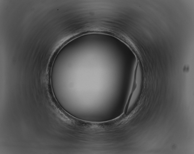 X0000091170787200708231504