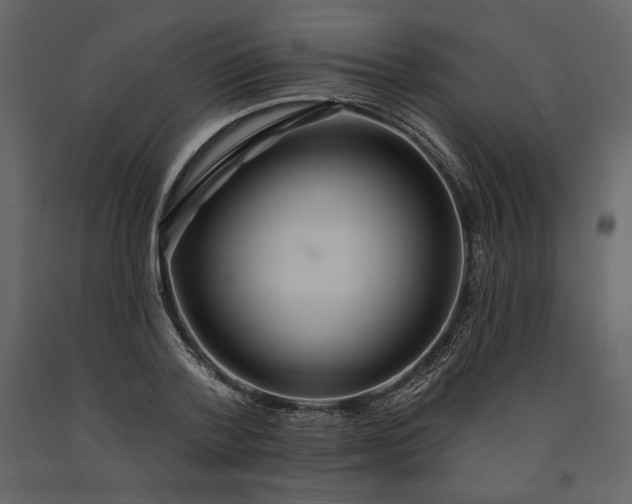 X0000091170788200708231504