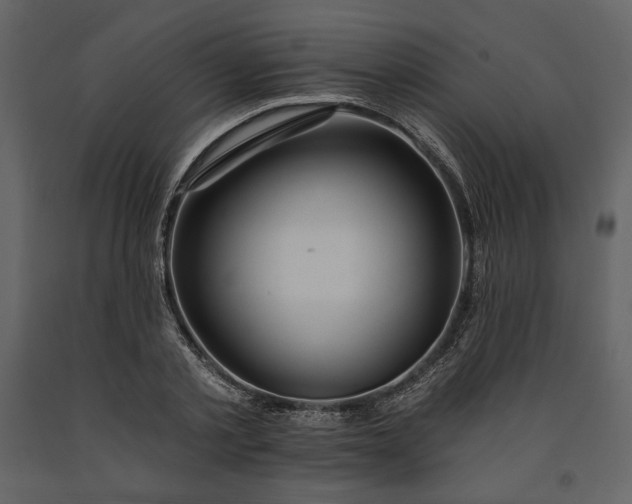 X0000091170789200708231504