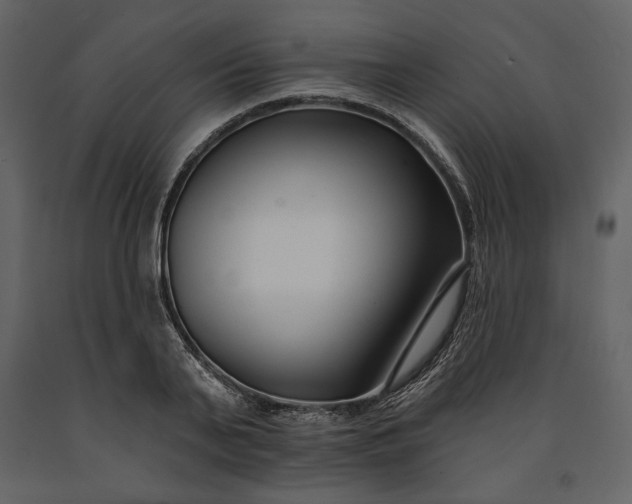 X0000091170791200708231504