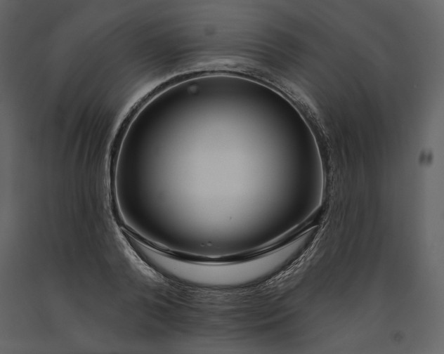 X0000091170792200708231504