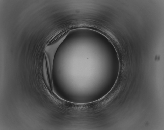 X0000091170793200708231504