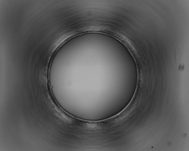 X0000091170794200708231504