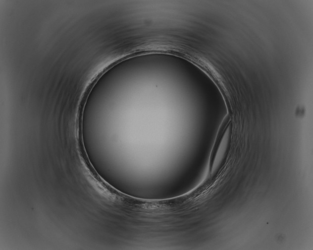 X0000091170795200708231504