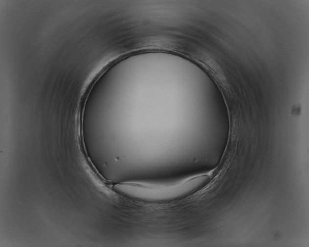 X0000091170796200708231504