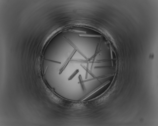 X0000091170798200708231504