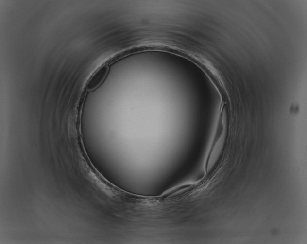 X0000091170799200708231504