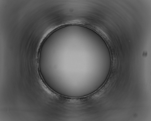 X0000091170800200708231504