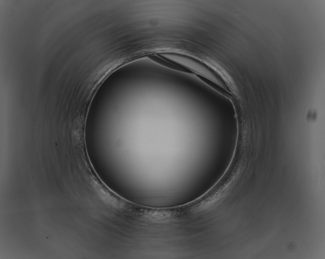 X0000091170801200708231504